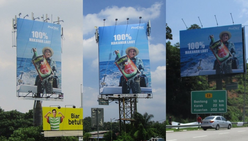 Real fish or canned food? ProDiet touts authenticity with eye-catching billboard