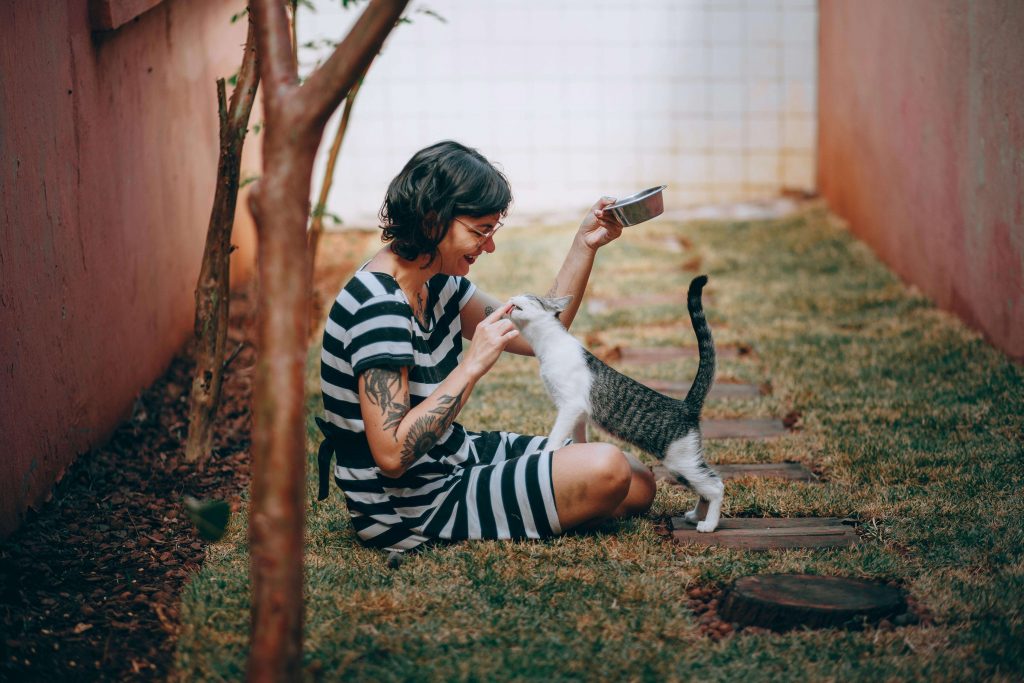 Choose a smarter way to feed your pet