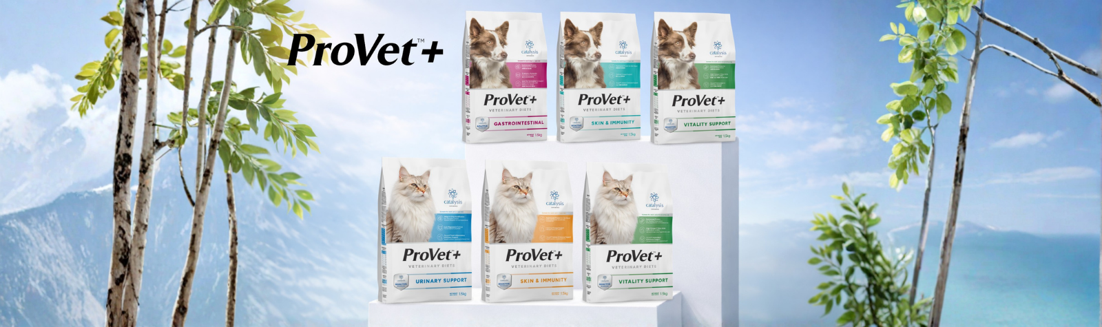 Breaking the Cycle: Could a New Diet Overcome Your Pet’s Chronic Relapse? (ProVet+ Veterinary Diets)