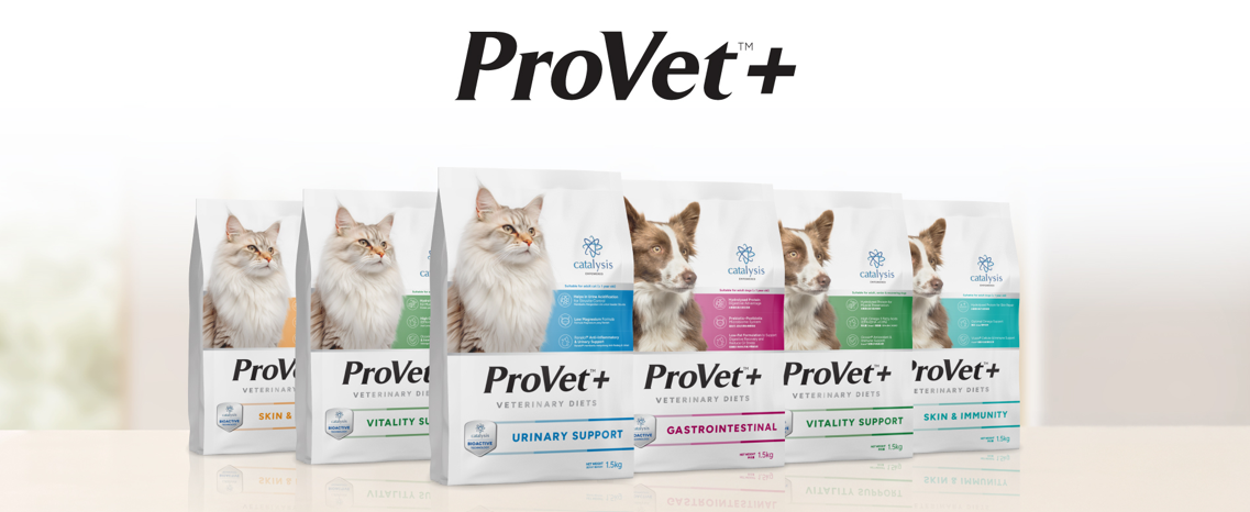 ProVet+ Veterinary Diets: How Bioactive Technology Is Redefining Your Pet’s Recovery