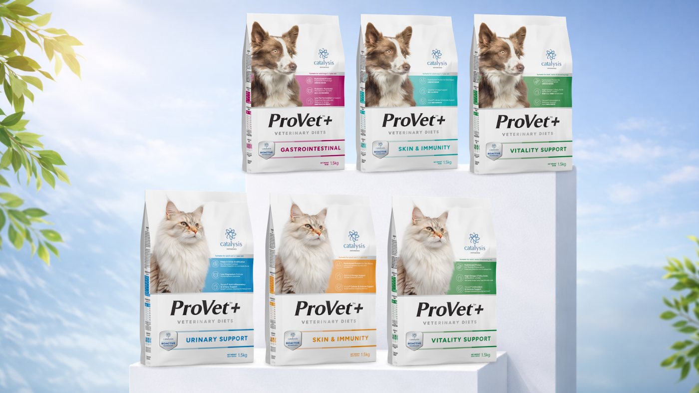 Breaking the Cycle: Could a New Diet Overcome Your Pet’s Chronic Relapse?