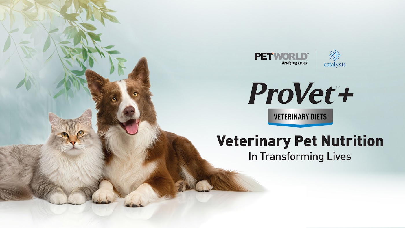 ProVet+ Veterinary Diets: How Bioactive Technology Is Redefining Your Pet’s Recovery