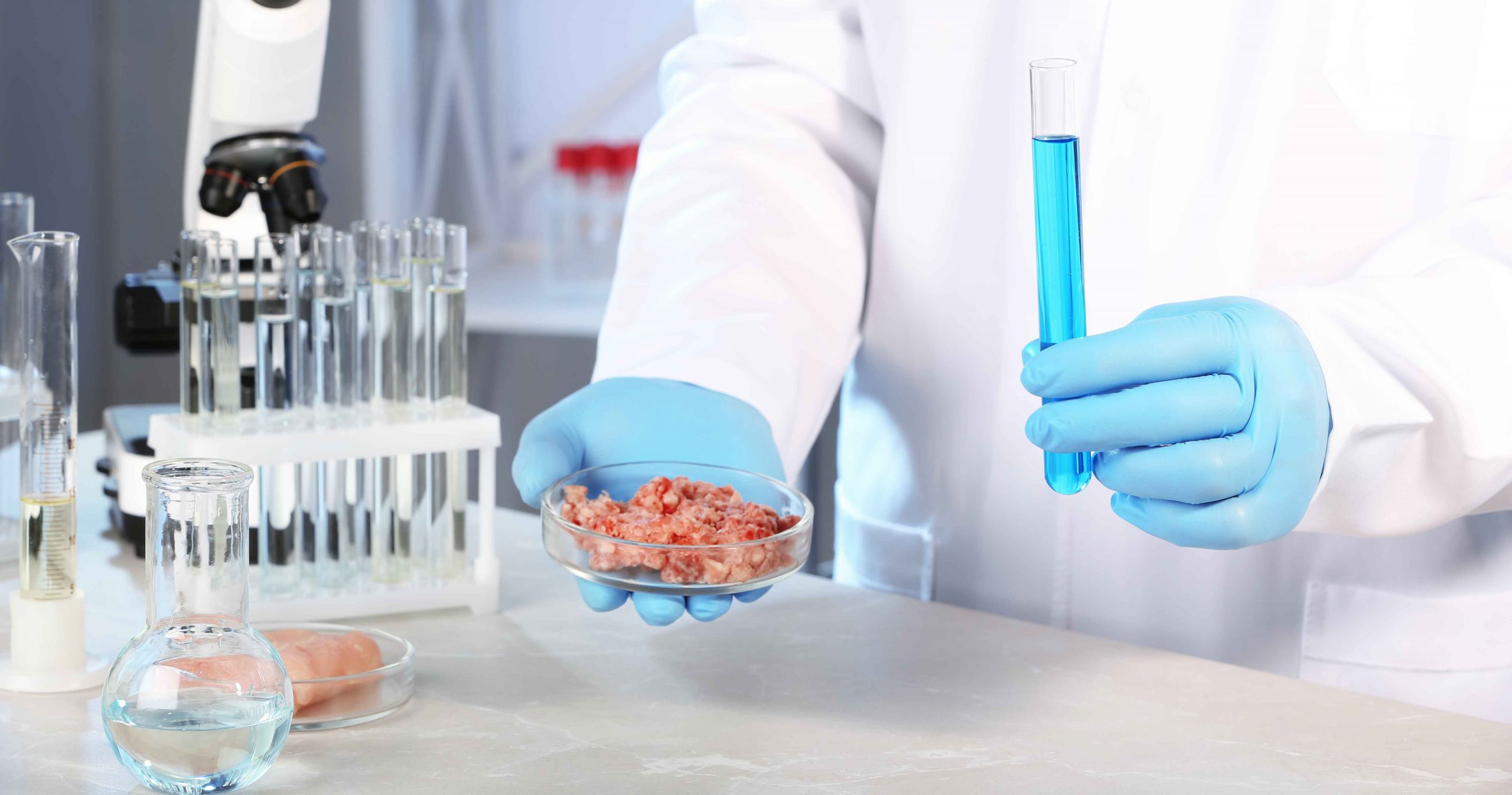 ProVet+ Veterinary Diets: How Bioactive Technology Is Redefining Your Pet’s Recovery