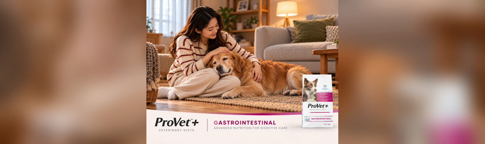 Diarrhoea in Dogs & Cats: Why Home-Cooked Diets Aren’t Helping – ProVet+ Veterinary Diets