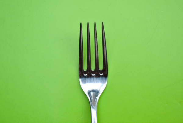 Vegan Diet For Pets: Fact Or Fad?