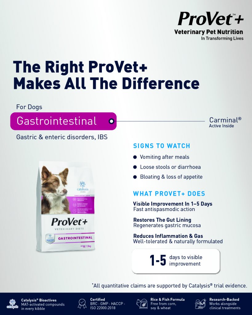 ProVet+ Dog Gastrointestinal clinical panel: signs to watch and what ProVet+ does