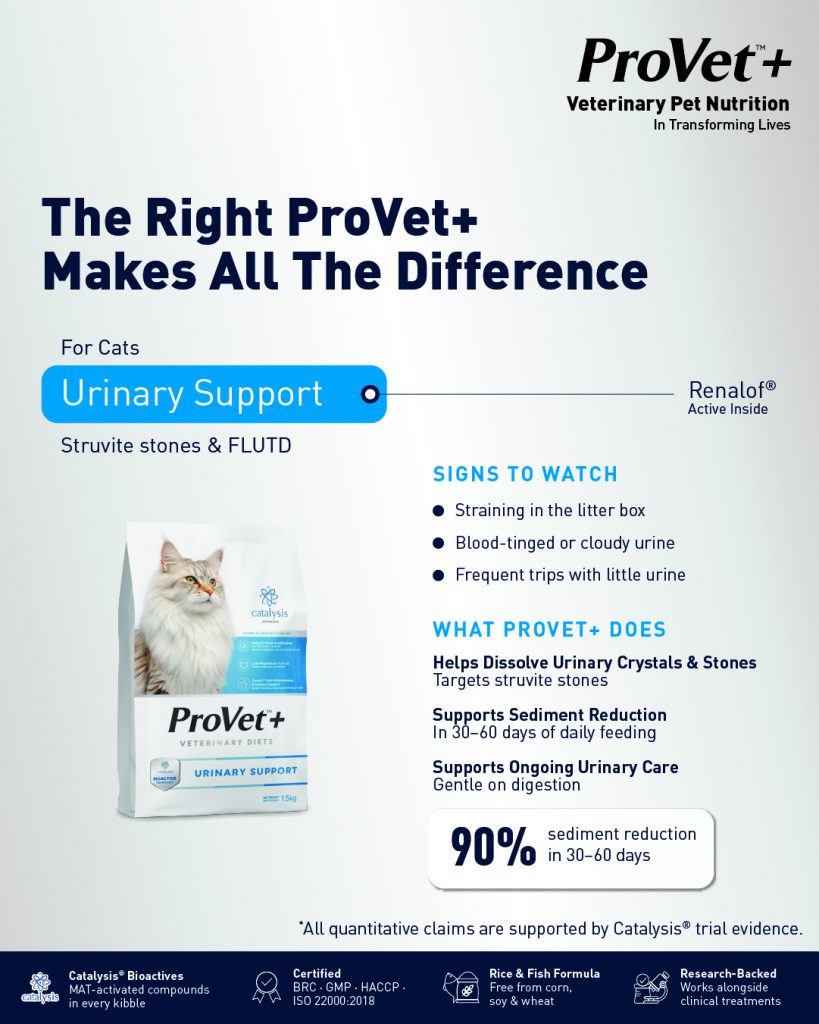 ProVet+ Cat Urinary Support clinical panel: signs to watch and what ProVet+ does