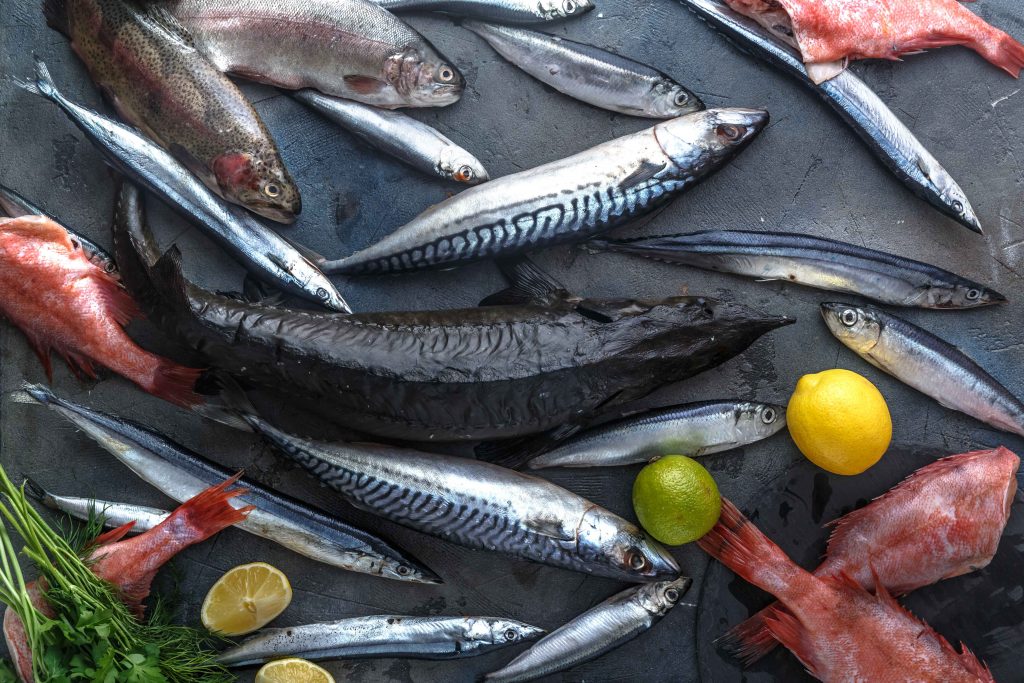 An assortment of fresh whole fish on a dark background