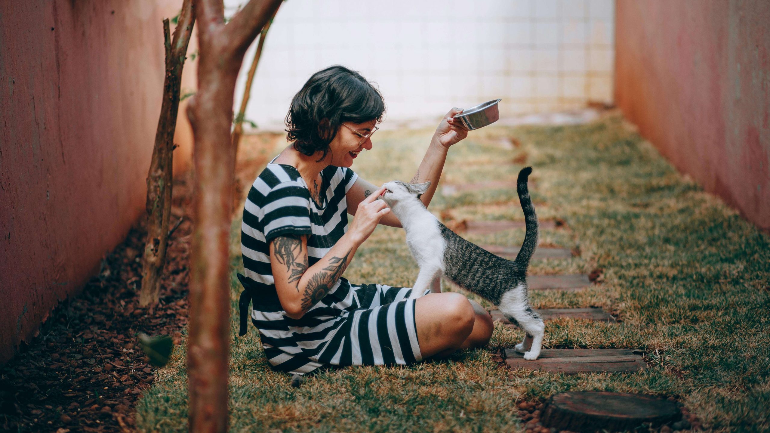 Choose a smarter way to feed your pet