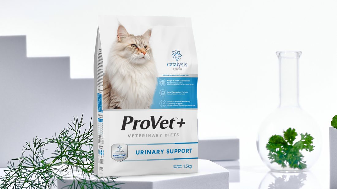 ProVet+ Cat Urinary Support