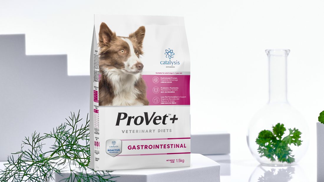 ProVet+ Dog Gastrointestinal