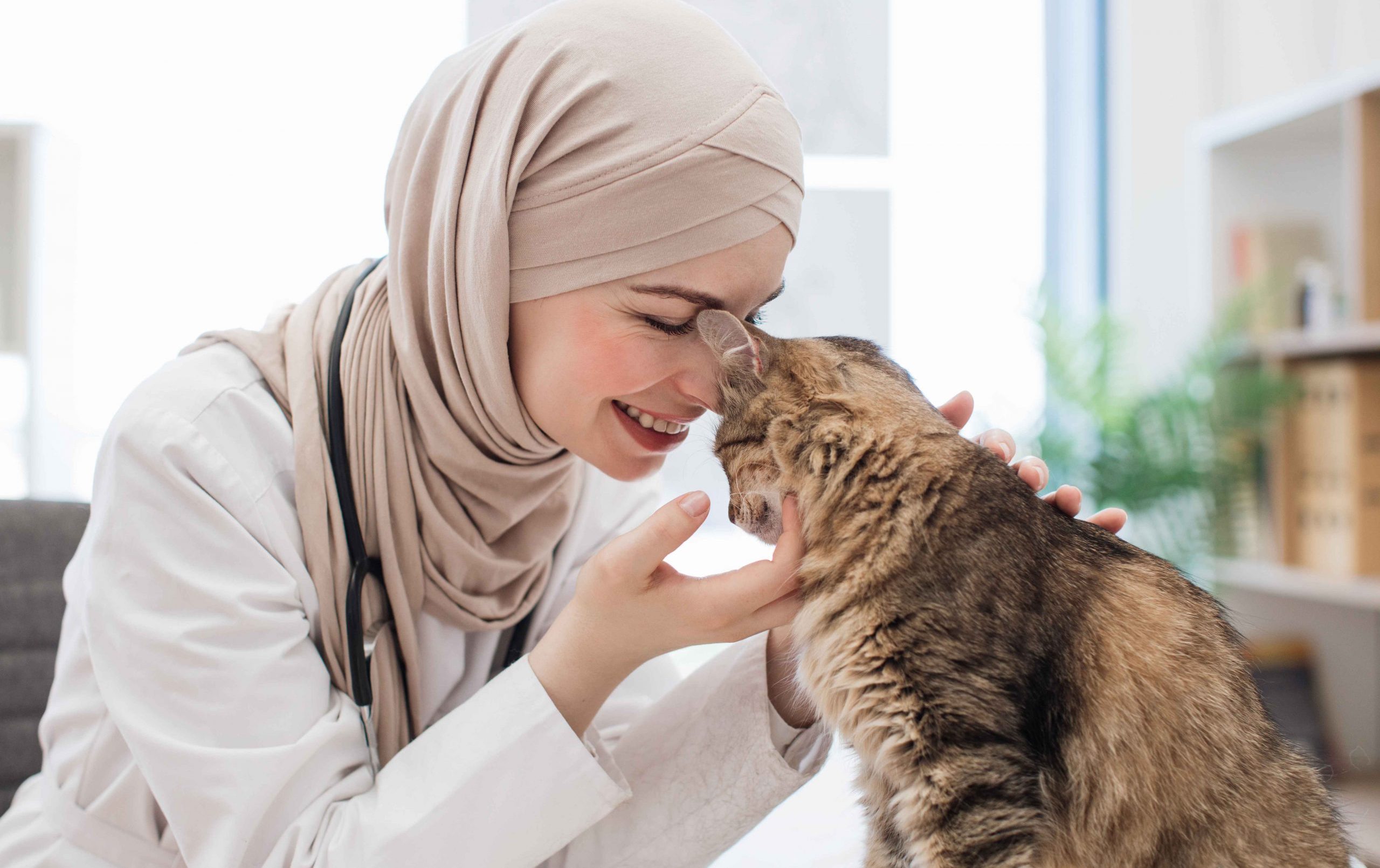 The Suci Bersih Standard: Why Purity and Hygiene Matters Across Pet World’s Cat Range