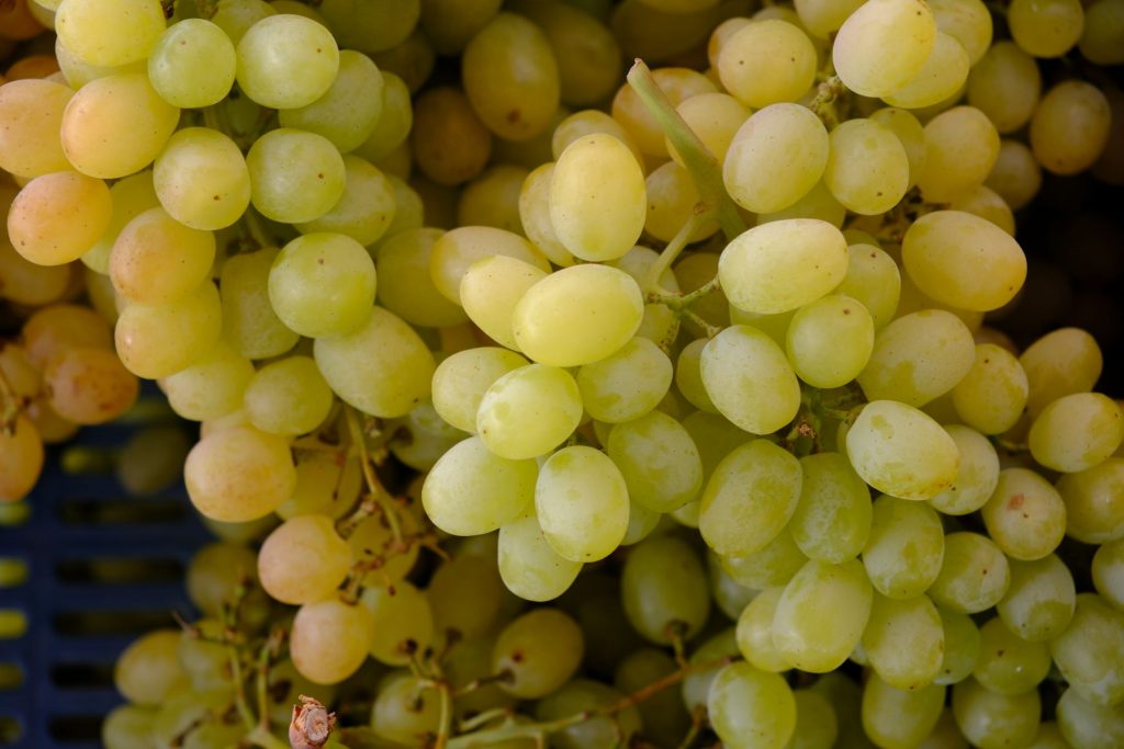 A bunch of green grapes
